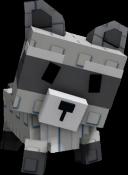 Raccoon