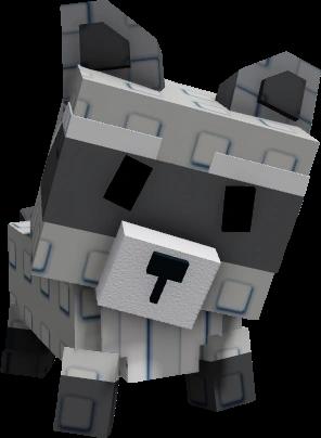 Raccoon