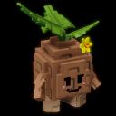 Seedling