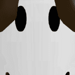 akshay_8655