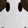 akshay_8655