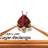 Aniketbhagat_1