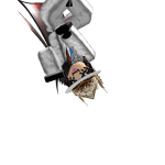 vinceOG