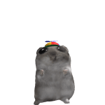 doudou