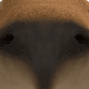 kupibaraks