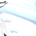 Sai_risuki
