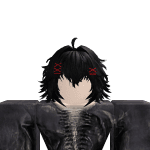 Zz_XIII