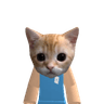 SamSebastian25