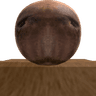 capybara