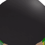 mr_greenbeen