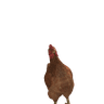 123noahmon