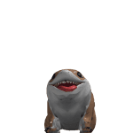 jefftheshark