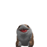 jefftheshark
