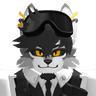 rafaelwolf870
