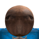 cabybara