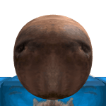 cabybara