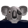 ARAidenA