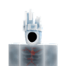 Rob