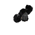 OCTISM