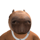 SNRcapybara