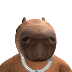 SNRcapybara