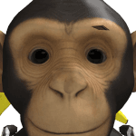 bobsmsm