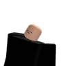Princegilx1