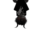 Sam1r