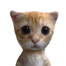 suguru