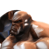 yiorgos