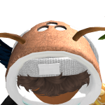 dorminhoco