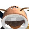 dorminhoco