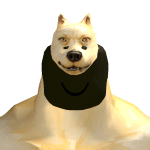 strong_dog