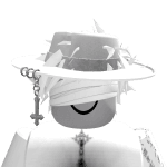 OP_RIP