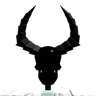 Slohy