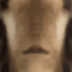 Flopa