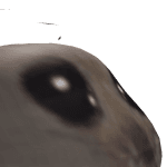 Xwapid