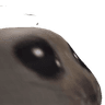 Xwapid