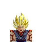 Reborn_Display