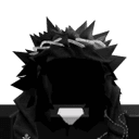 Vho