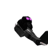 pancracio