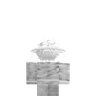 xix