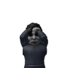 RandomGuyOnRoblox