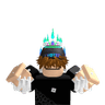 Erdin