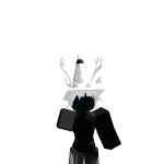 Server