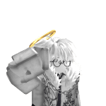 sans