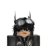 VRA_hoko
