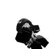 S11