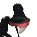 chongax7