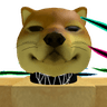 yoyoyolodoggy1